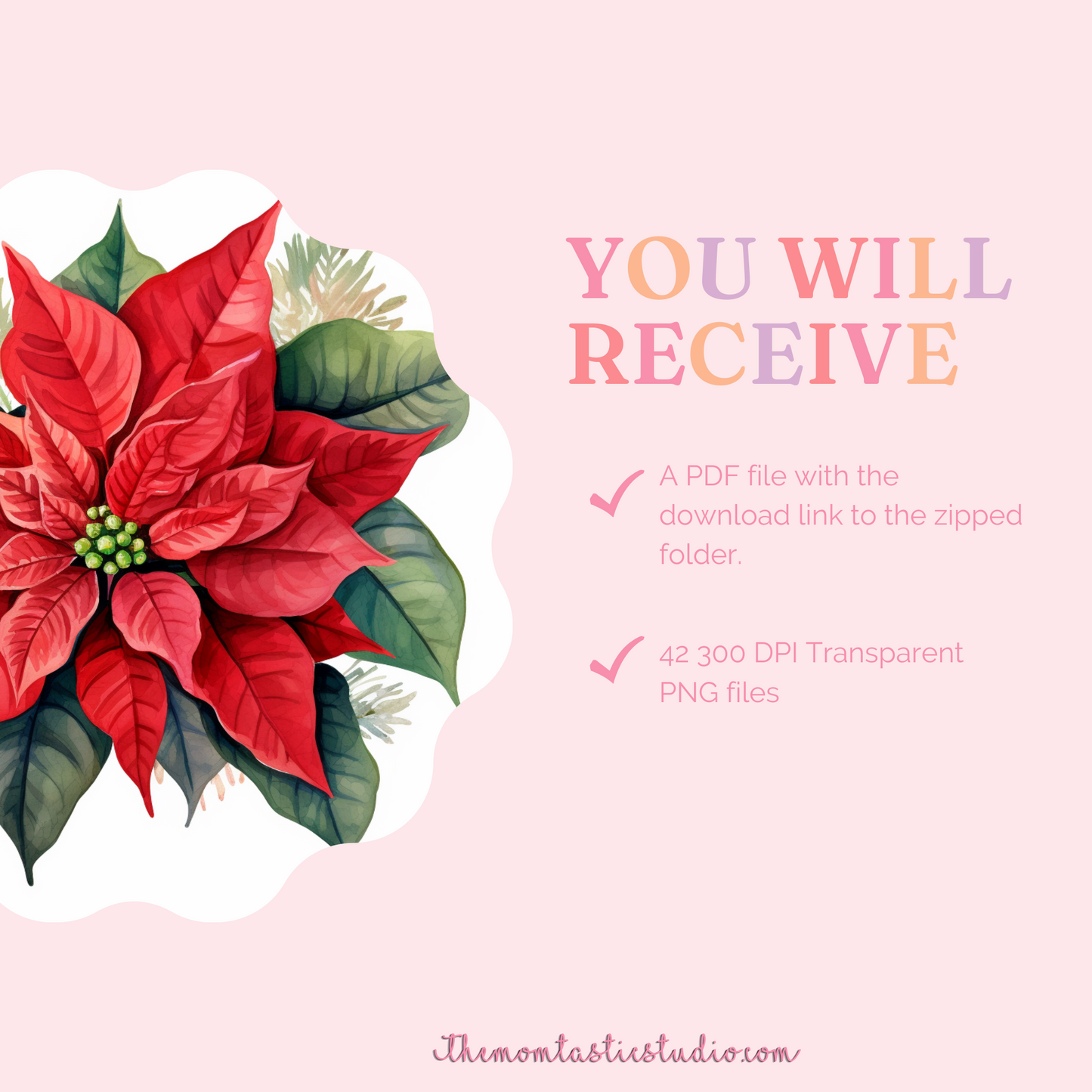 Classy Christmas Flowers Watercolor Cliparts – High-Quality PNG - Transparent Background - Commercial Use