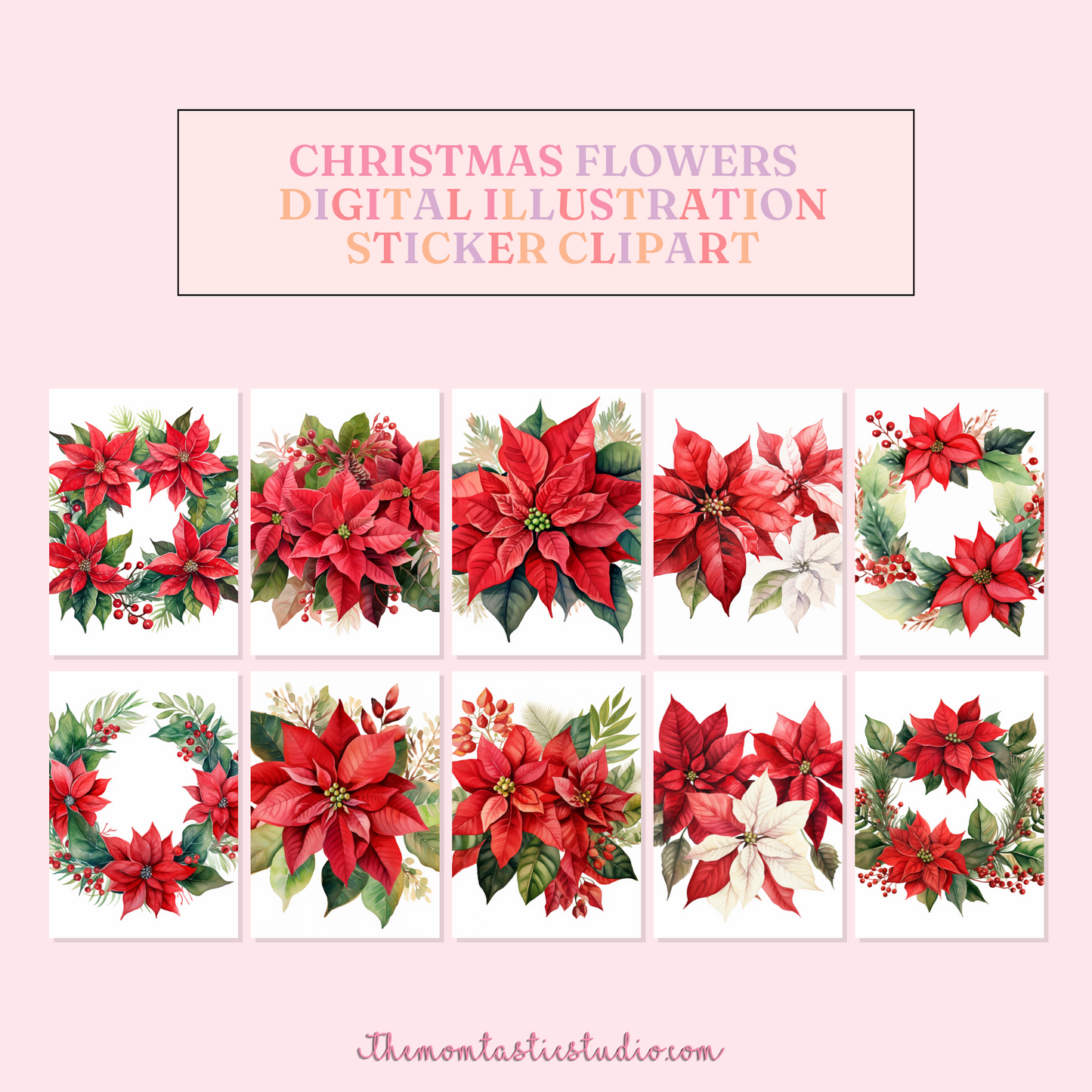 Classy Christmas Flowers Watercolor Cliparts – High-Quality PNG - Transparent Background - Commercial Use