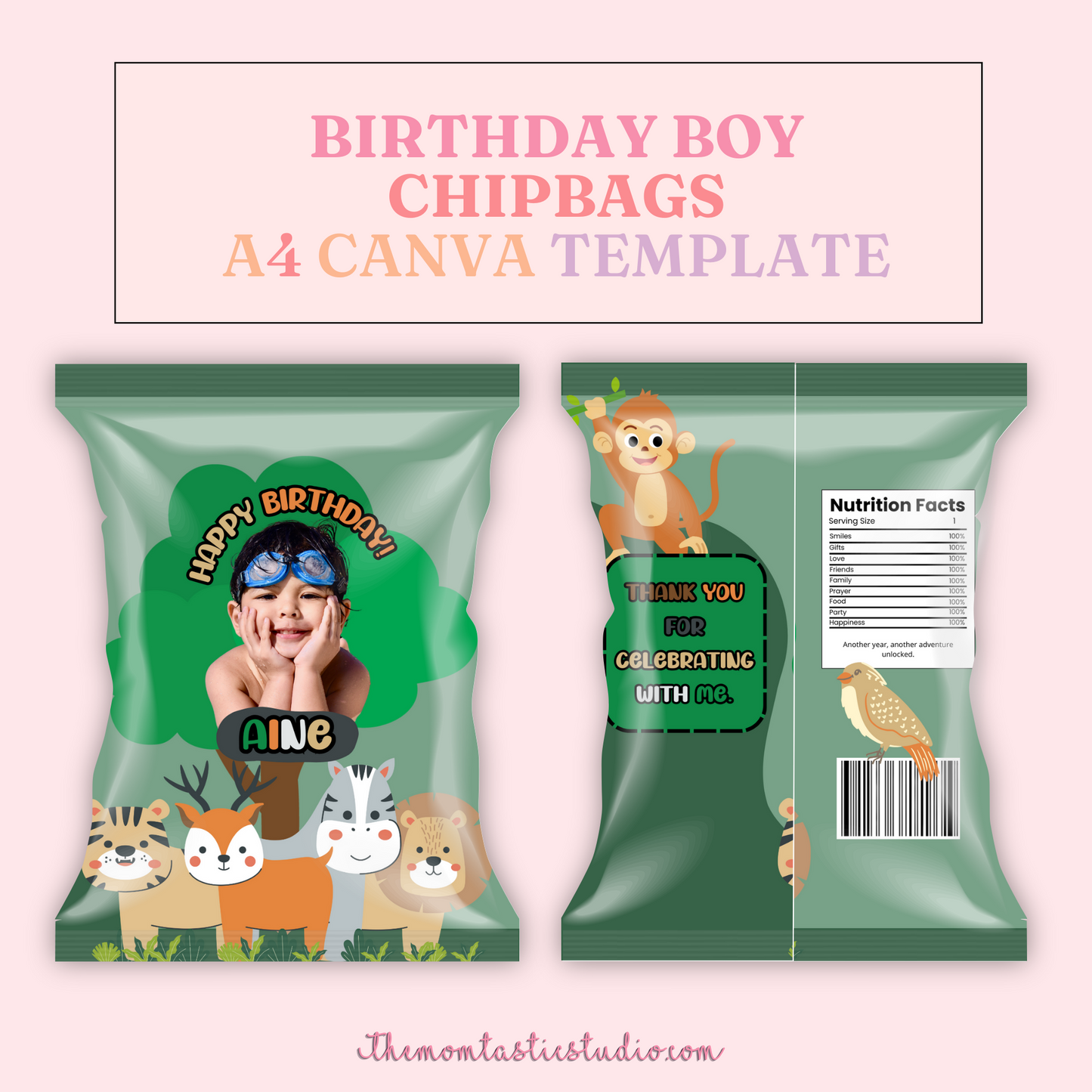 Birthday Boy Chip Bag Template – A4 Size – PDF - Canva Template