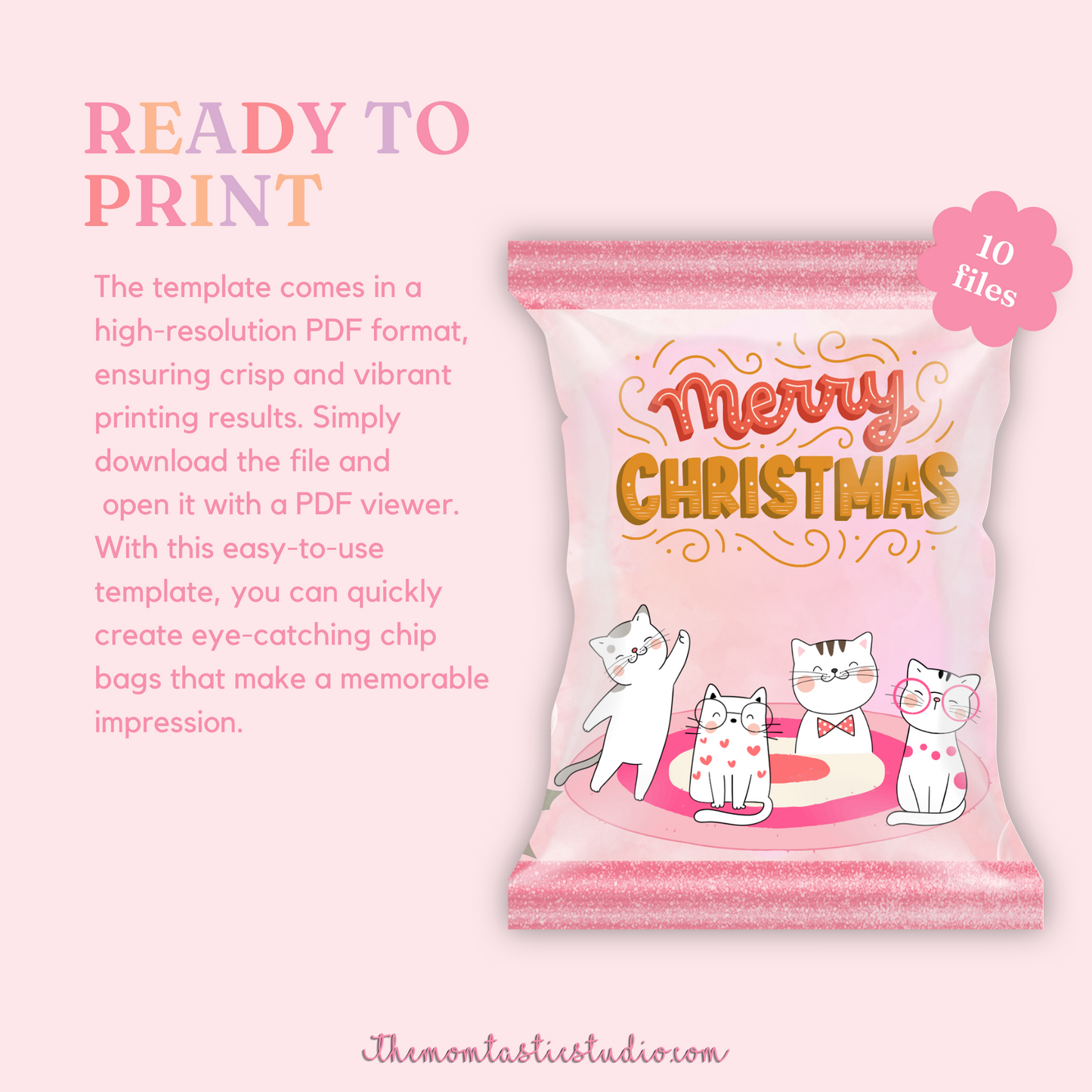 Classic Christmas Day Chip Bag Template – A4 Size – PDF - Canva Template