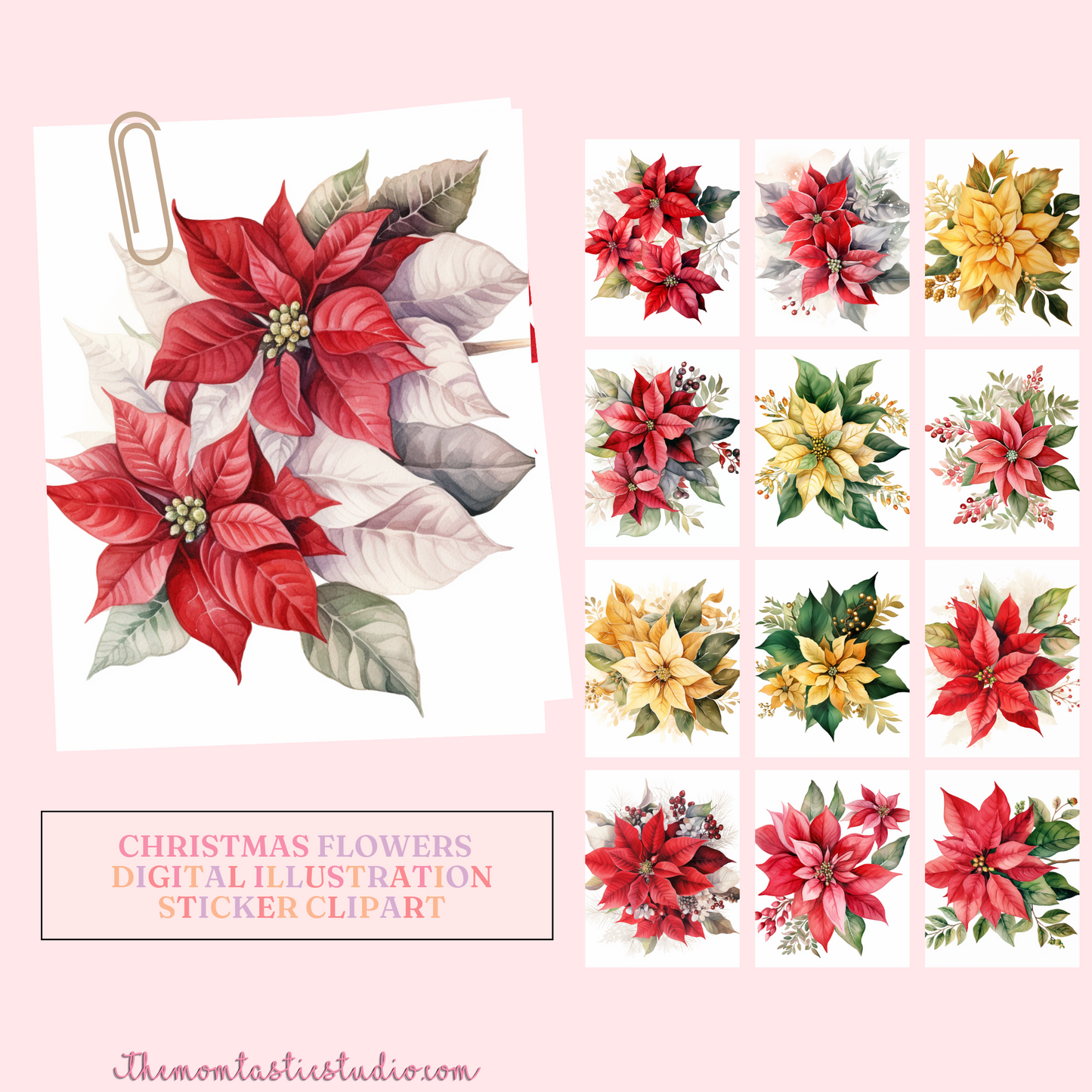 Classy Christmas Flowers Watercolor Cliparts – High-Quality PNG - Transparent Background - Commercial Use