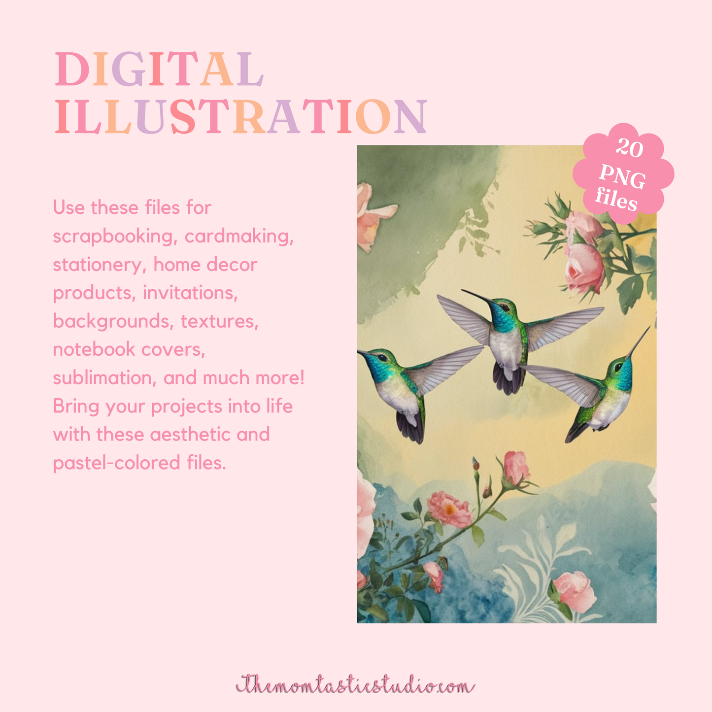 Roses and Hummingbirds Illustration (A4 Landscape) - 300 DPI – Instant Download – Commercial Use