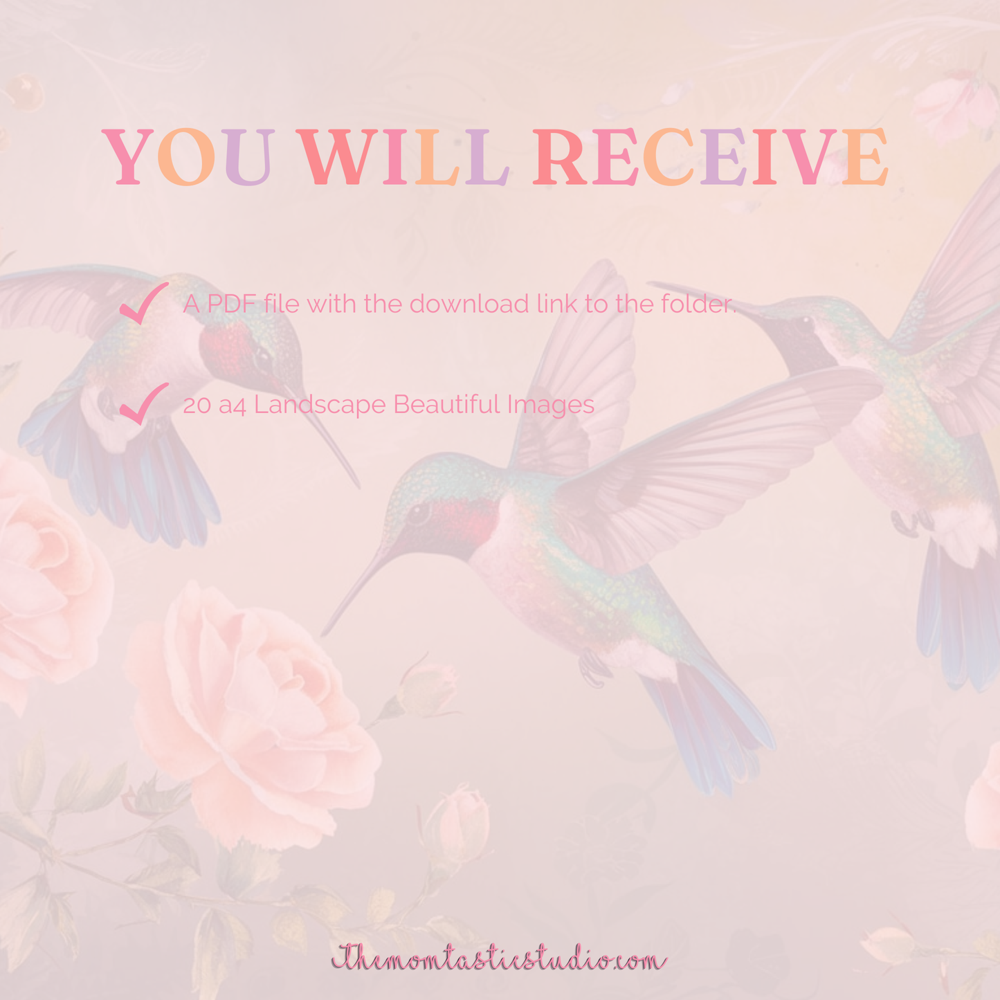 Roses and Hummingbirds Illustration (A4 Landscape) - 300 DPI – Instant Download – Commercial Use