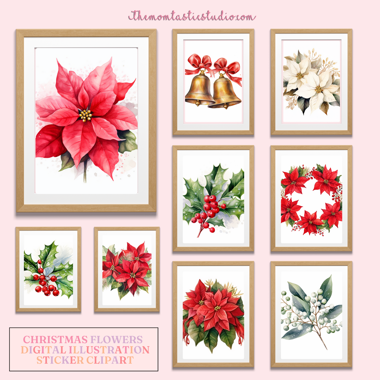 Classy Christmas Flowers Watercolor Cliparts – High-Quality PNG - Transparent Background - Commercial Use