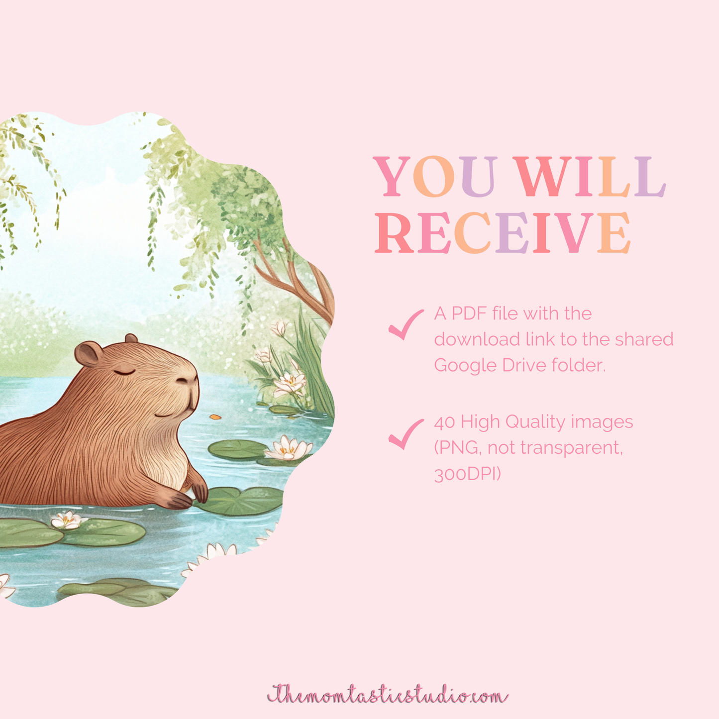 Capybara Daydreams Illustration Set - 300 DPI – Instant Download – Commercial Use