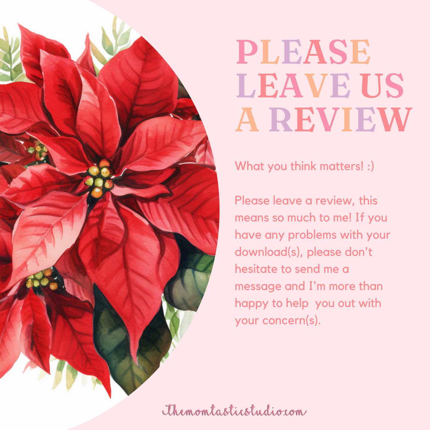 Classy Christmas Flowers Watercolor Cliparts – High-Quality PNG - Transparent Background - Commercial Use