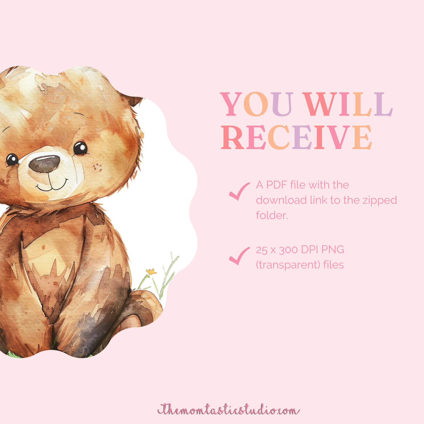 Teddy and Springtime – Clipart Set - High-Quality PNG - Transparent Background - Commercial Use