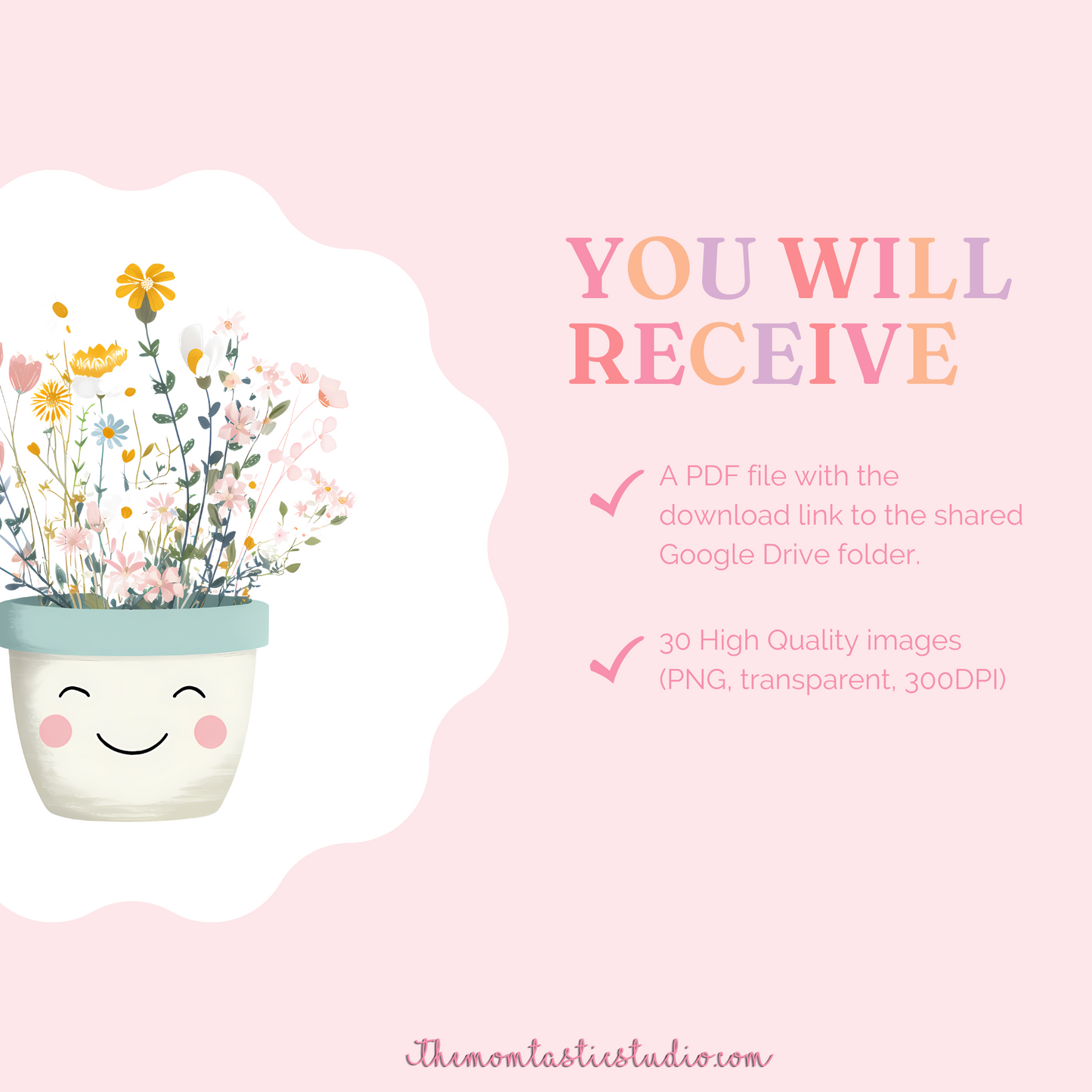 Kawaii Bloom Clipart Set – Instant Download – 300 DPI - Commercial Use (Transparent PNG)